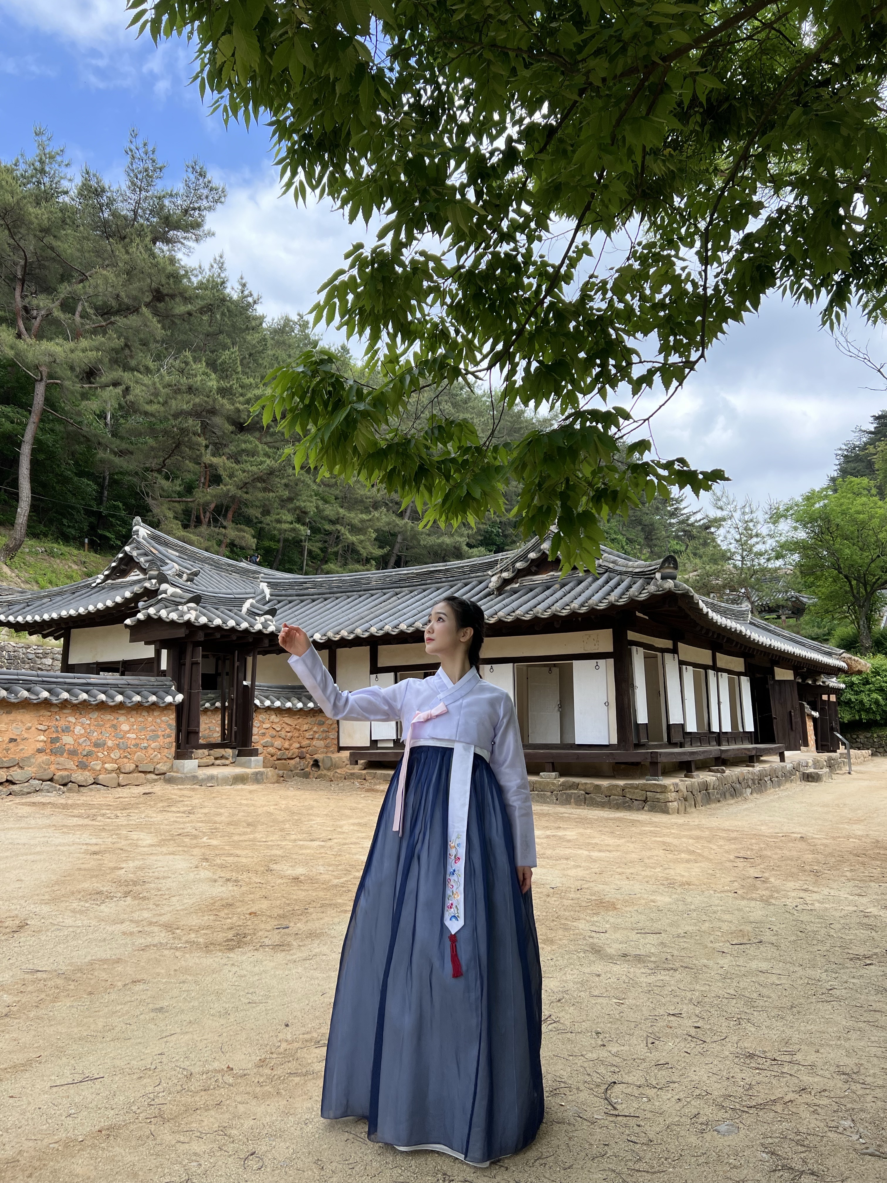한옥과 나무, 푸른 하늘을 배경으로 선 남색 한복 차림의 뒷모습